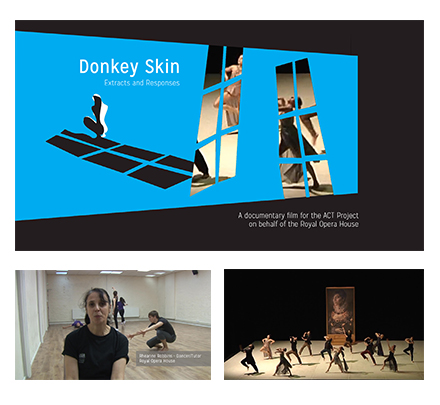 Donkey Skin